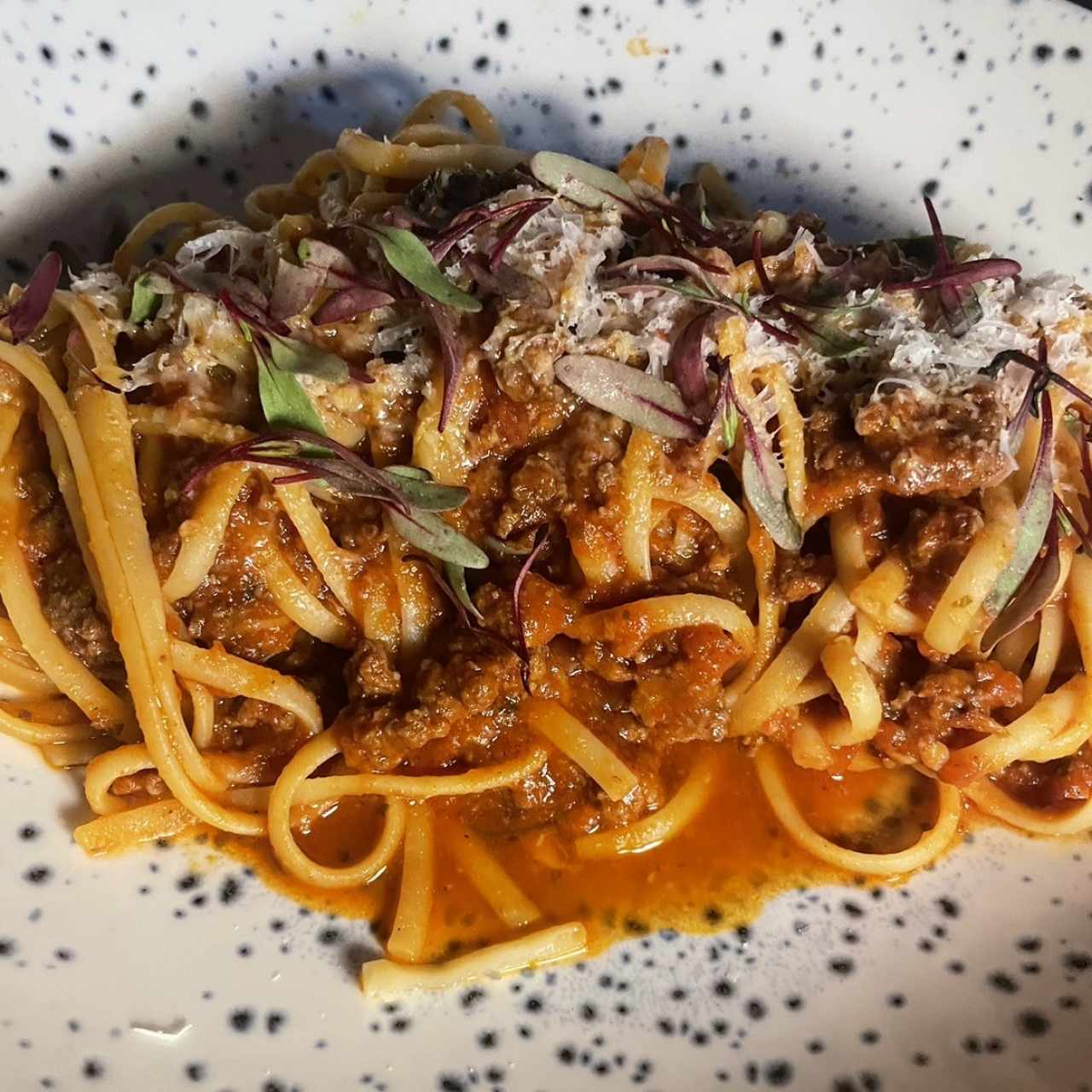 Primi Piatti - Rigattoni AllAmatriciana