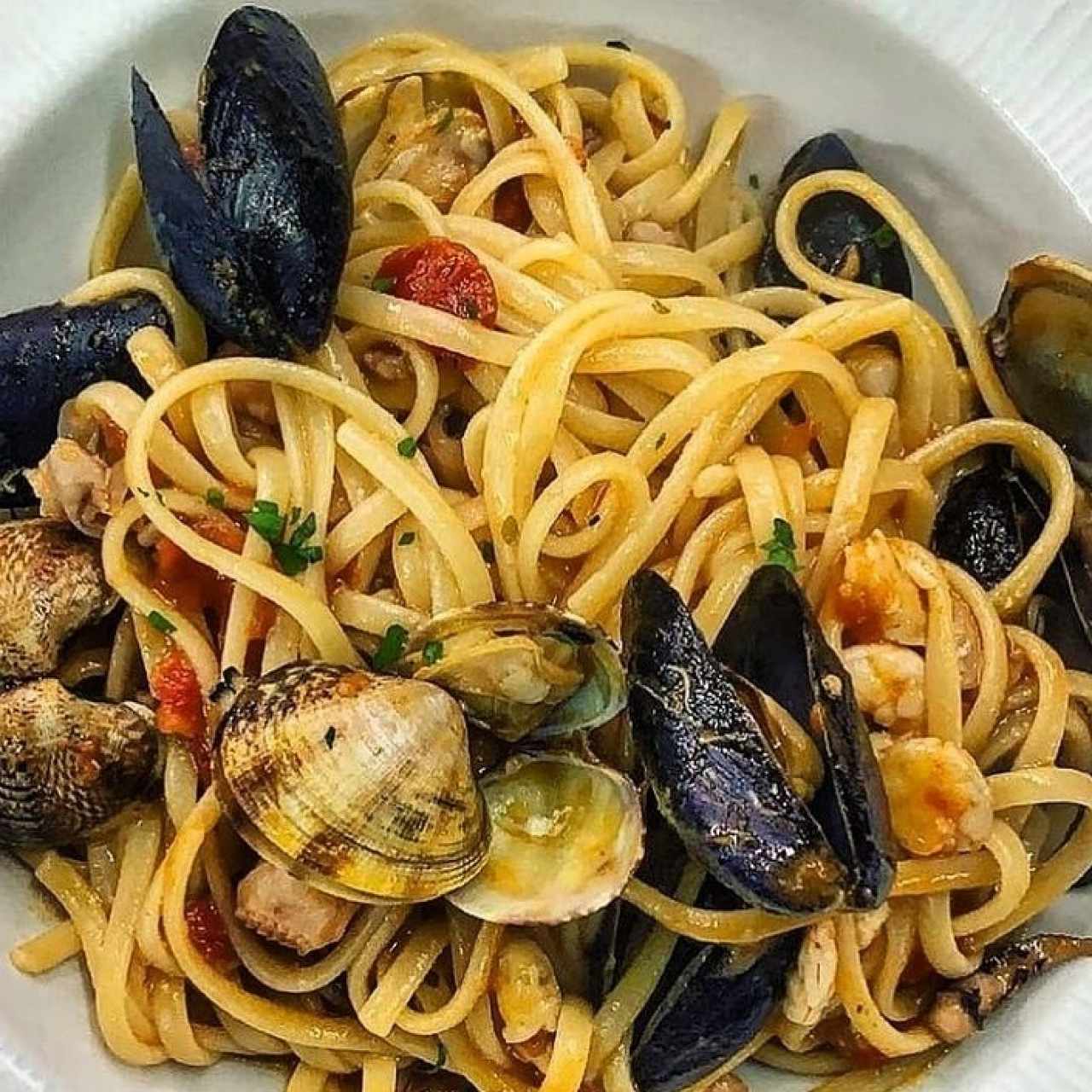 Spaguetti / Ni Pescatore