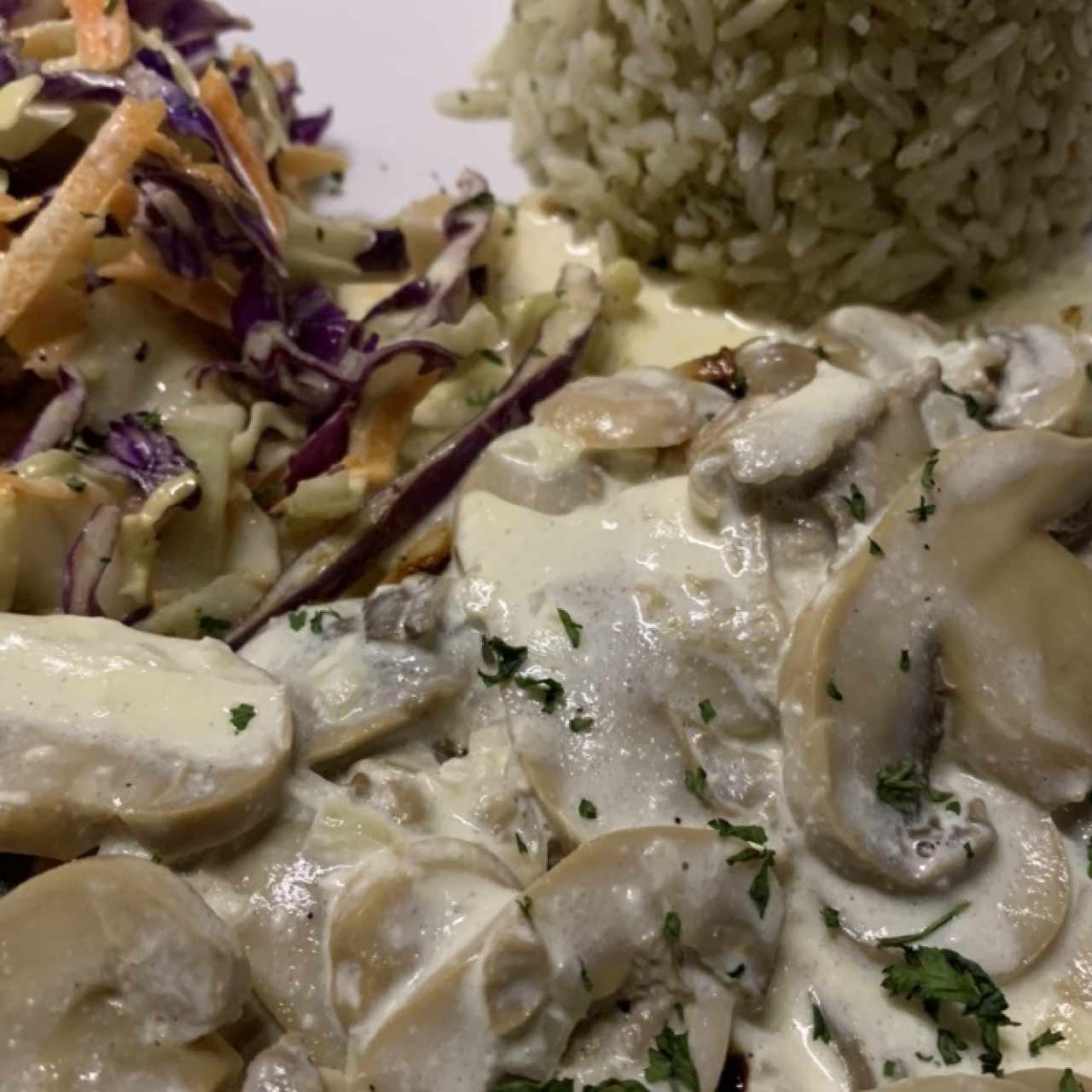 Pollo en salsa de champiñones, arroz y ensalada