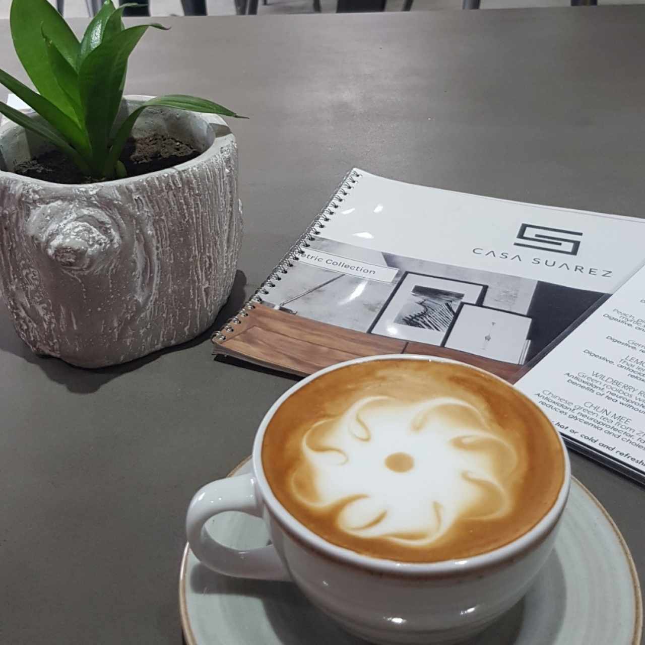 cappuccino 