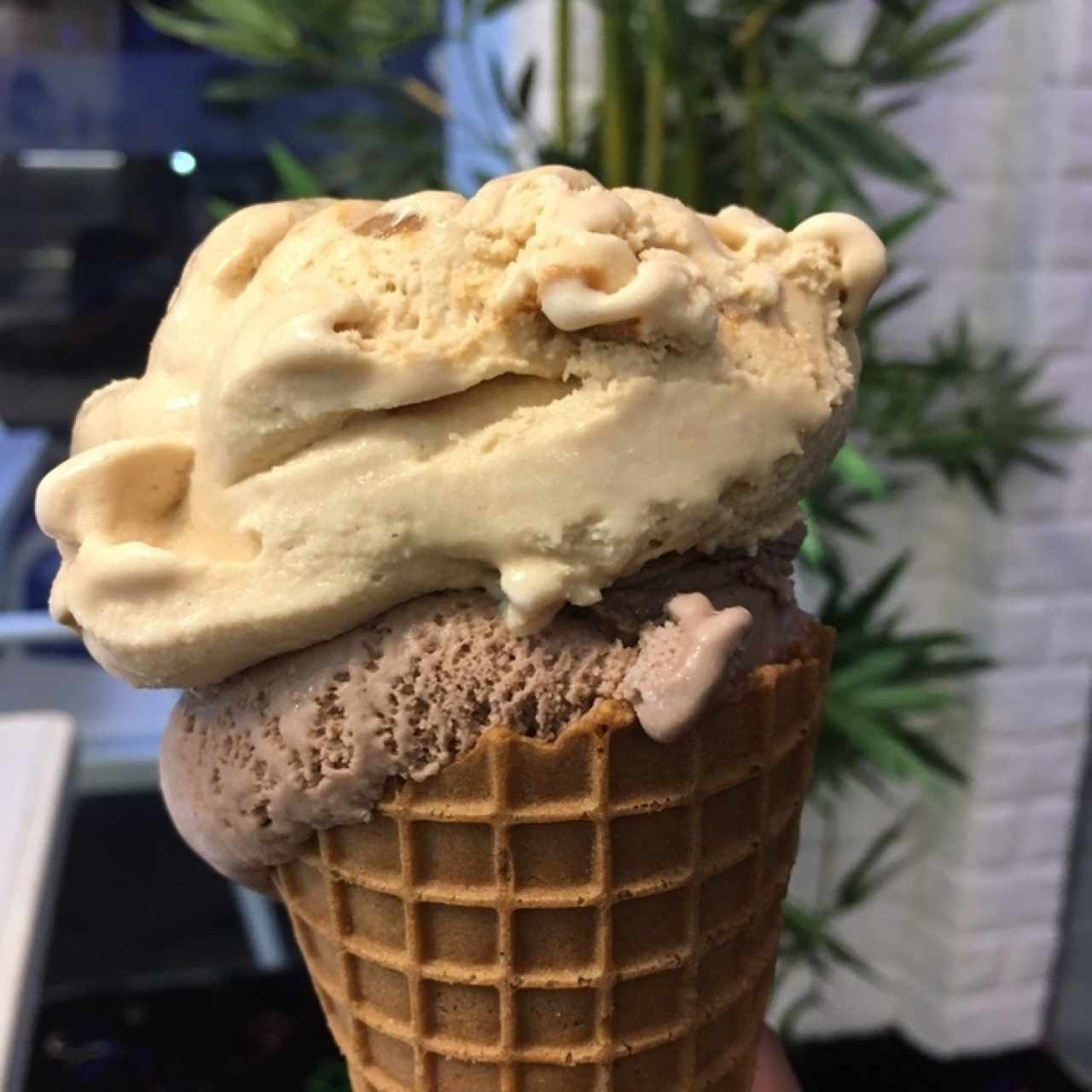 Helados - Helado 2 sabores