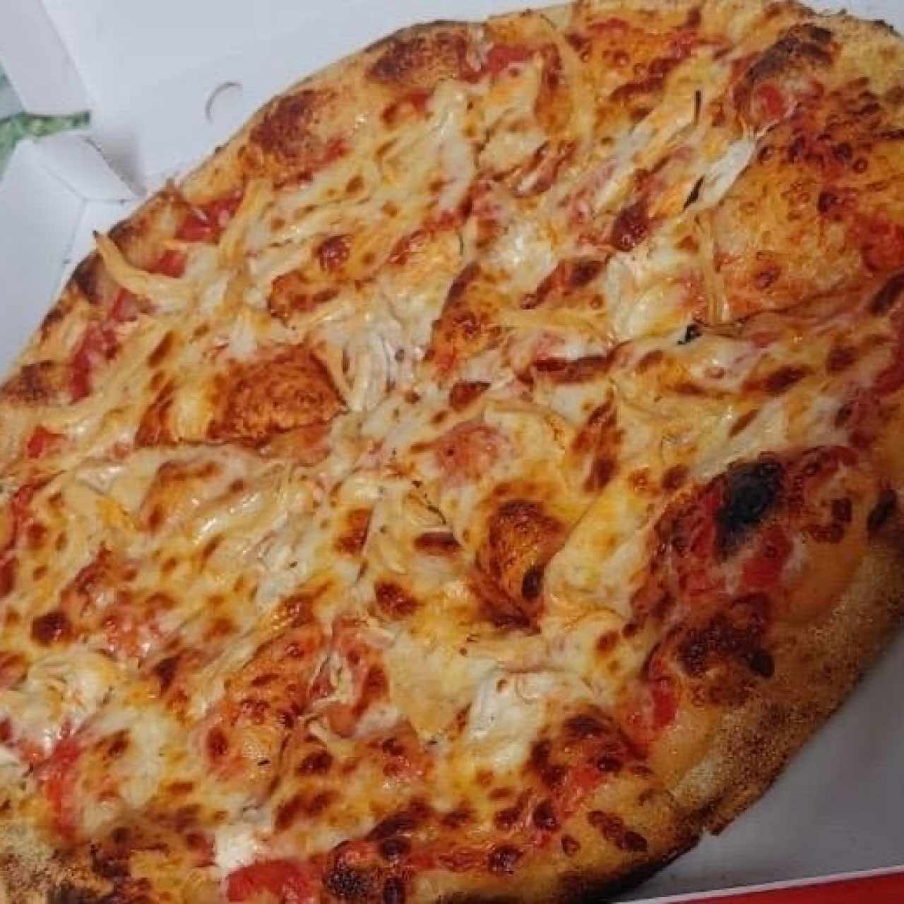 Pizza Panamá (Salsa de Tomate, Mozzarella y Pollo) 