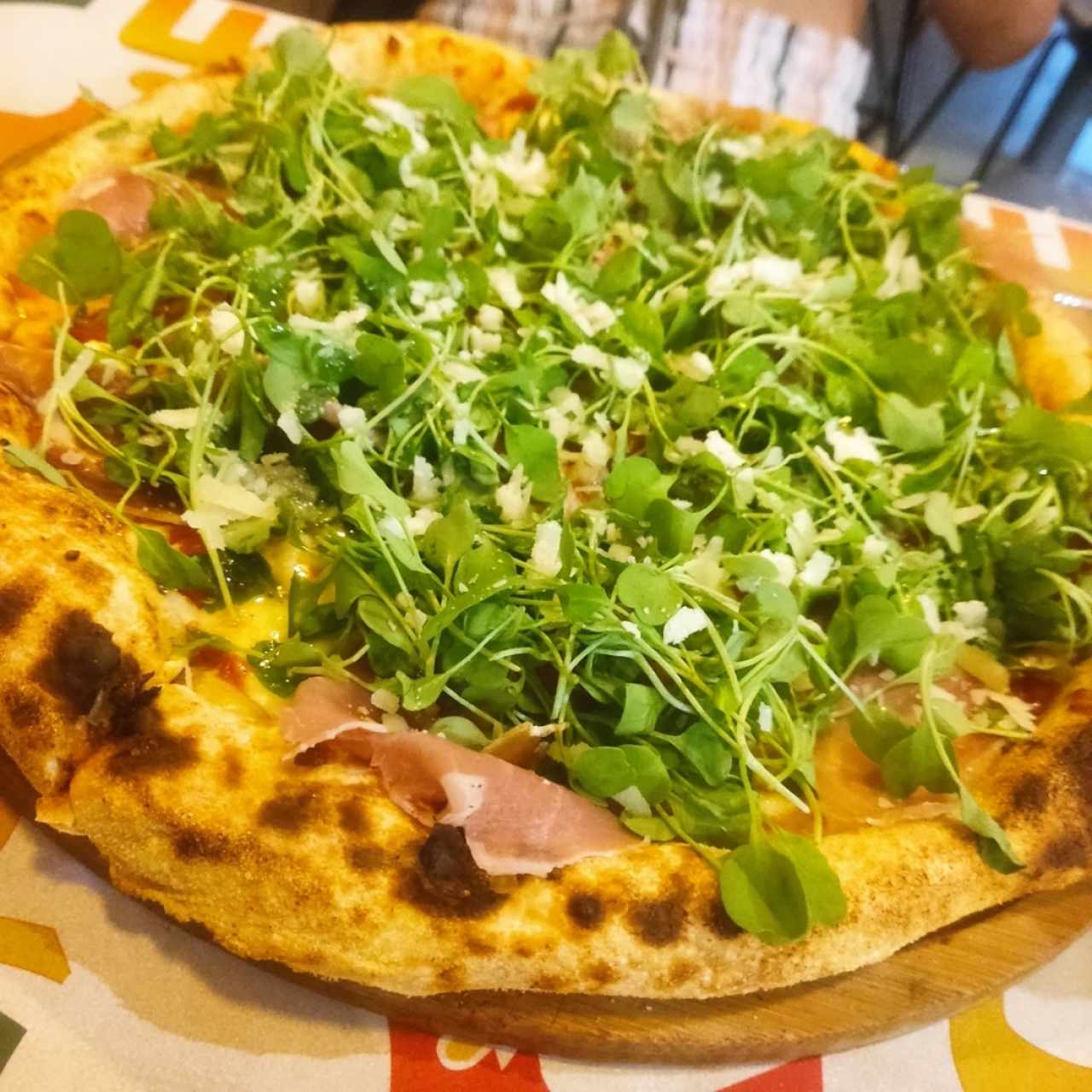 Pizzas Gourmet - Katané