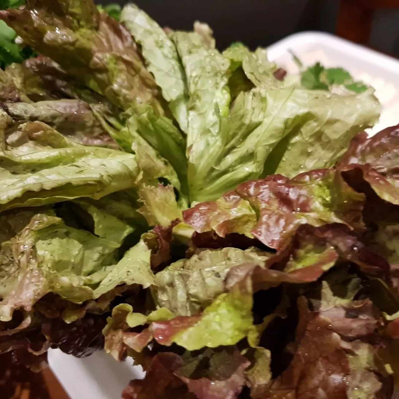 Vegetales - Lechuga