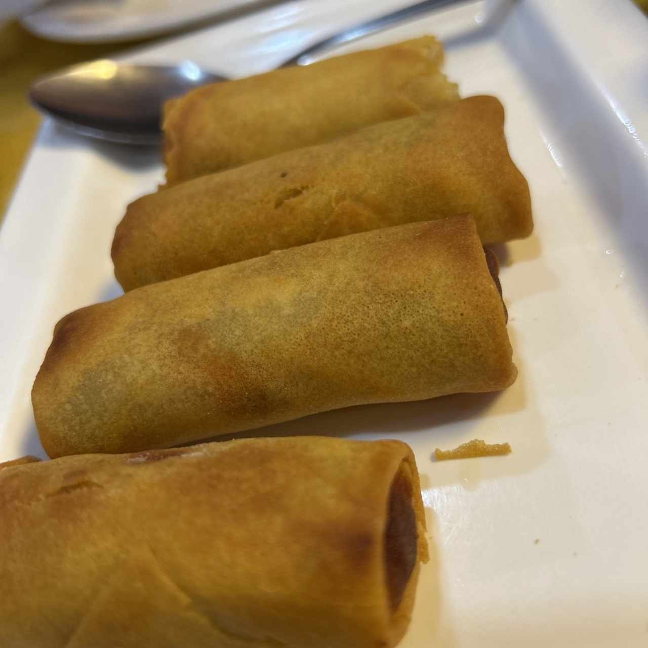 Rollo de primavera