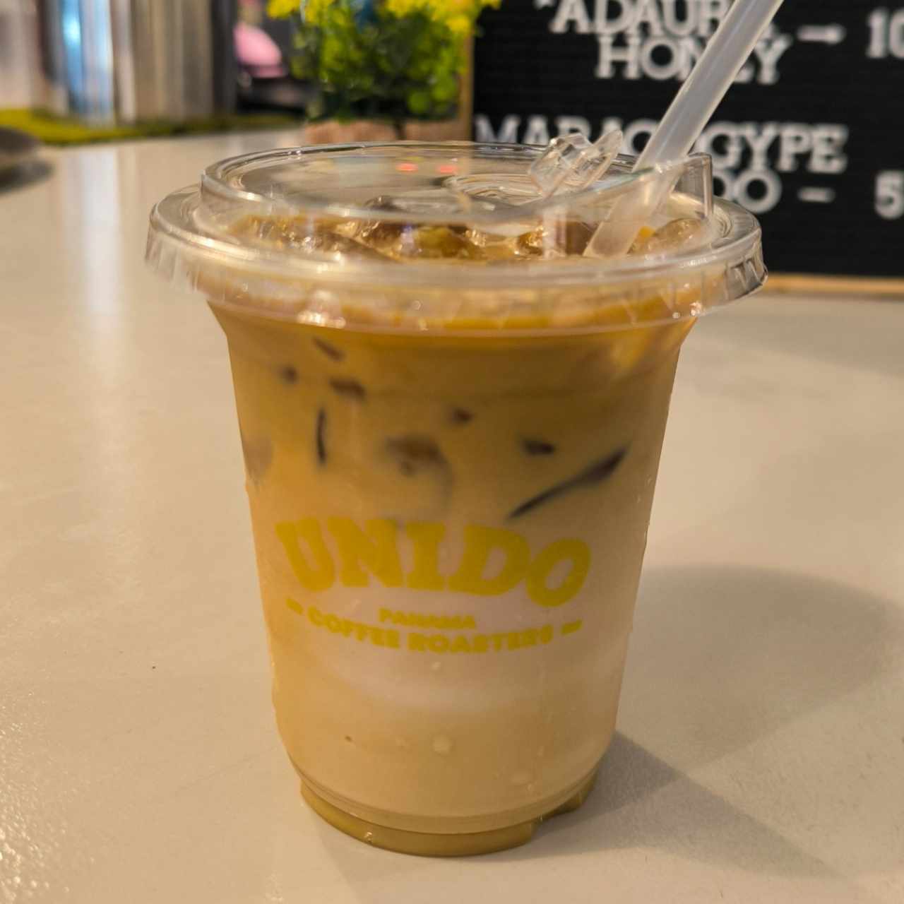 Iced Latte