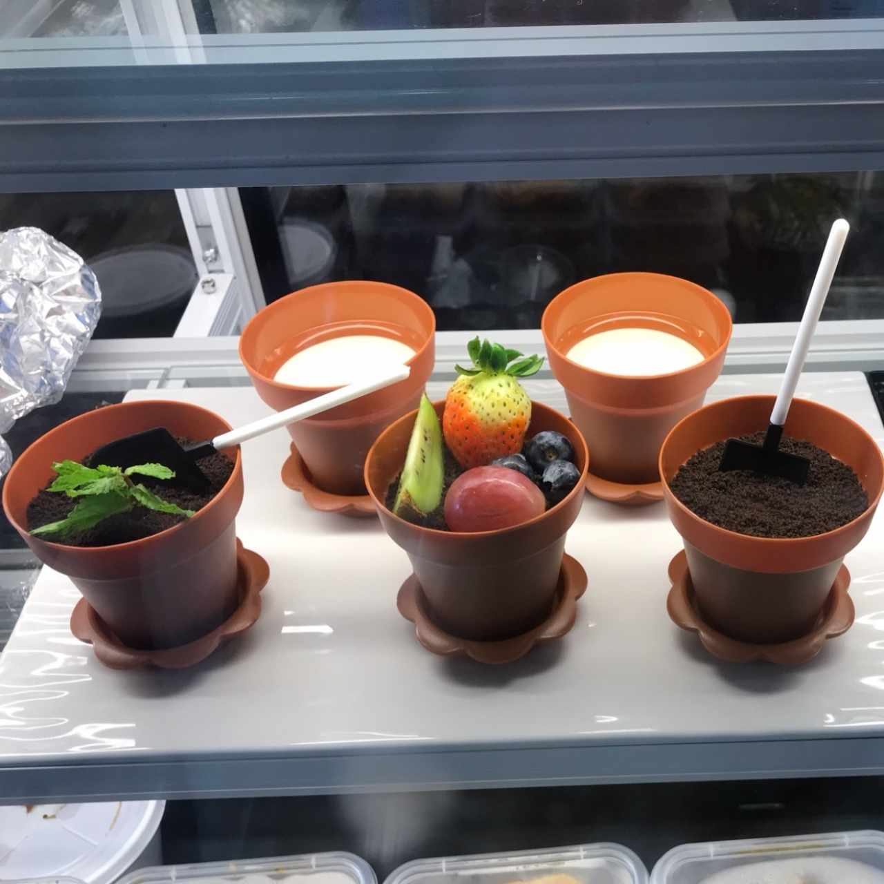 (Pudin) Plantita con oreo y fruta