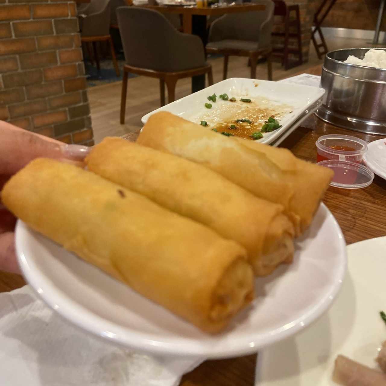 Dimsum - Duck Spring Roll
