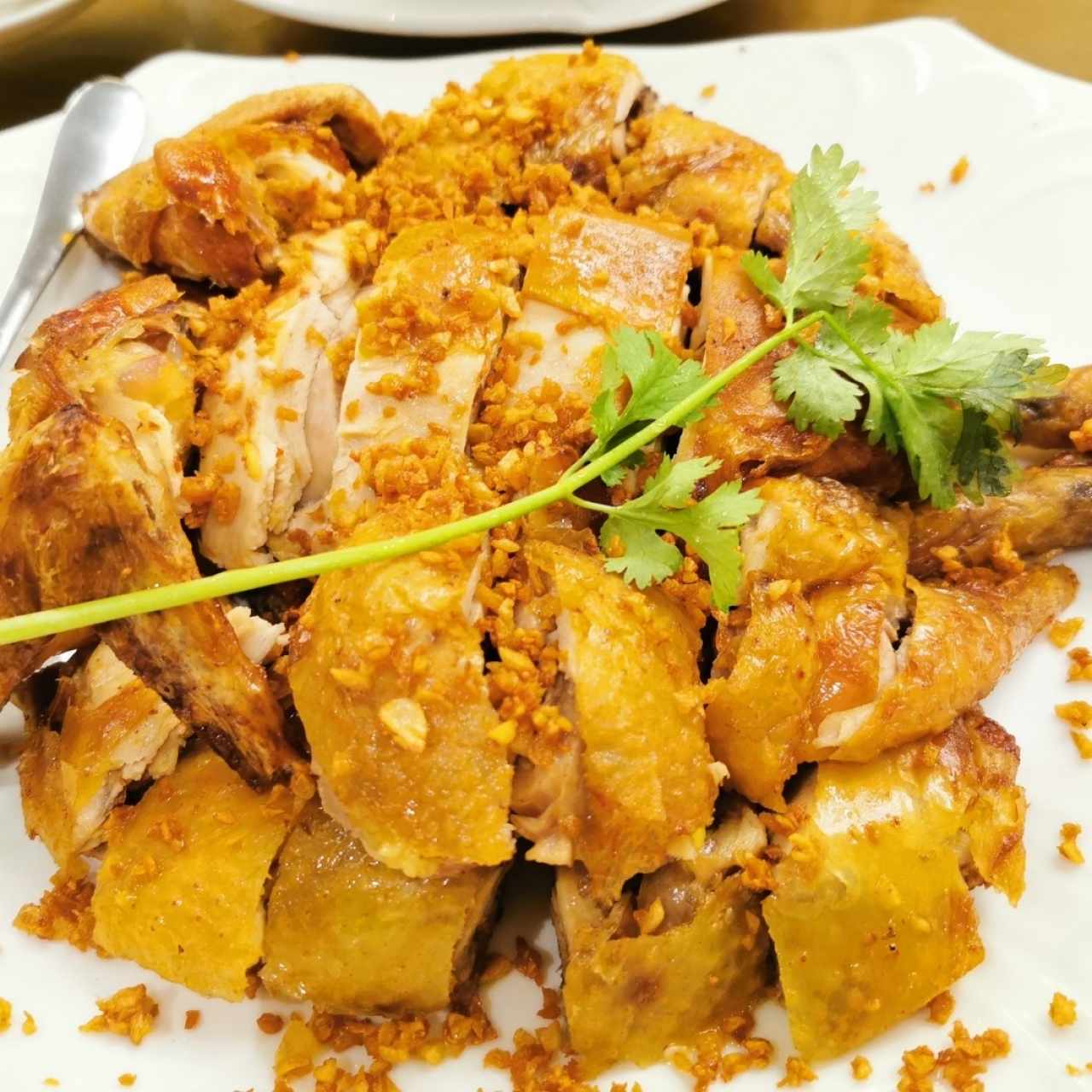 Pollo