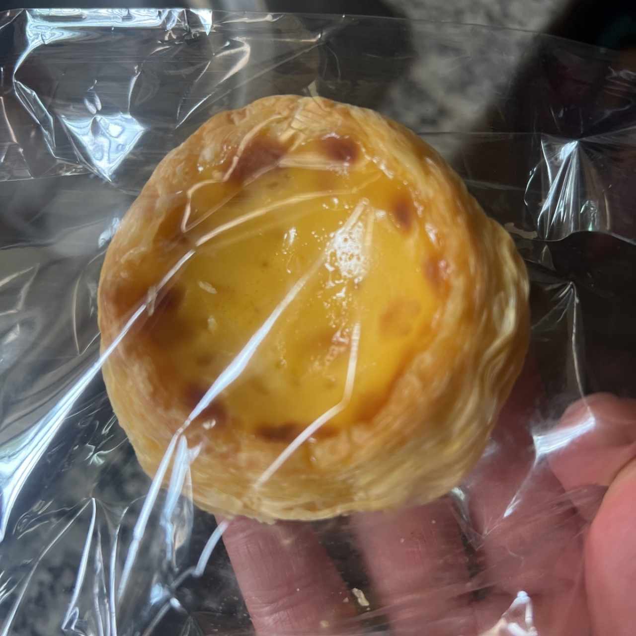 Egg Tart Custard
