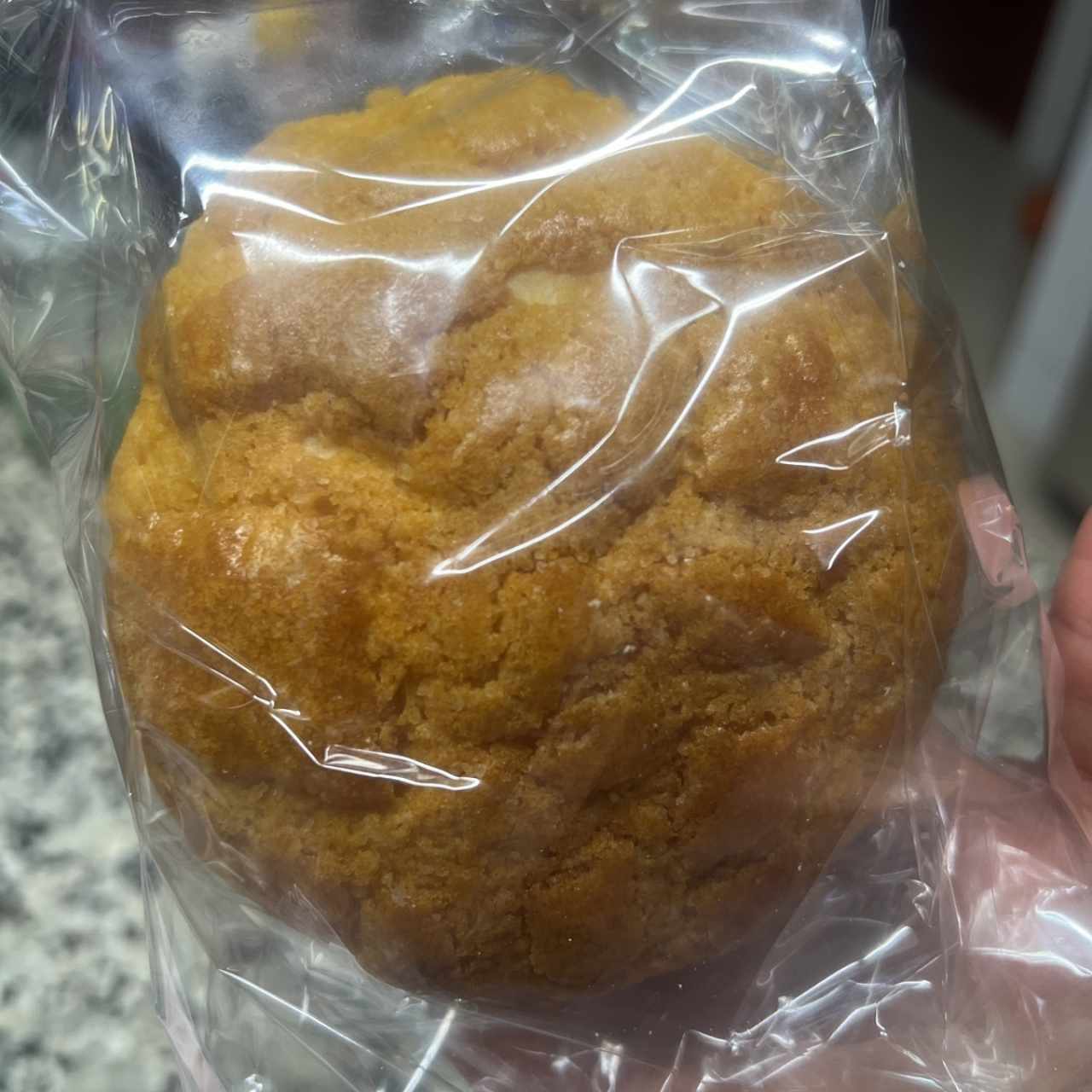 Pan de Piña Polo Pao