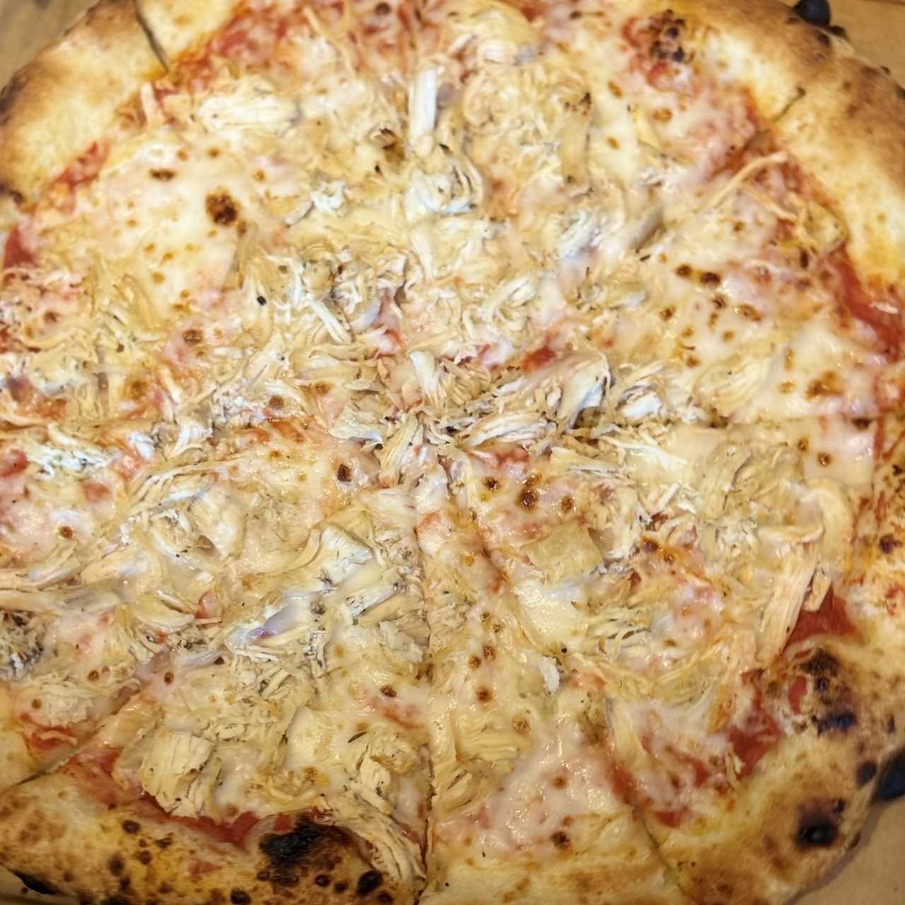 Pollo