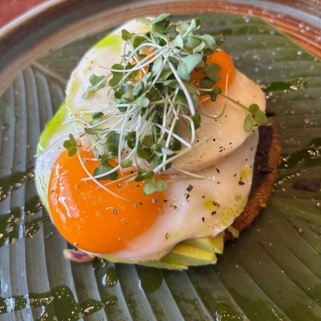 AVO Toast Libre de Culpa