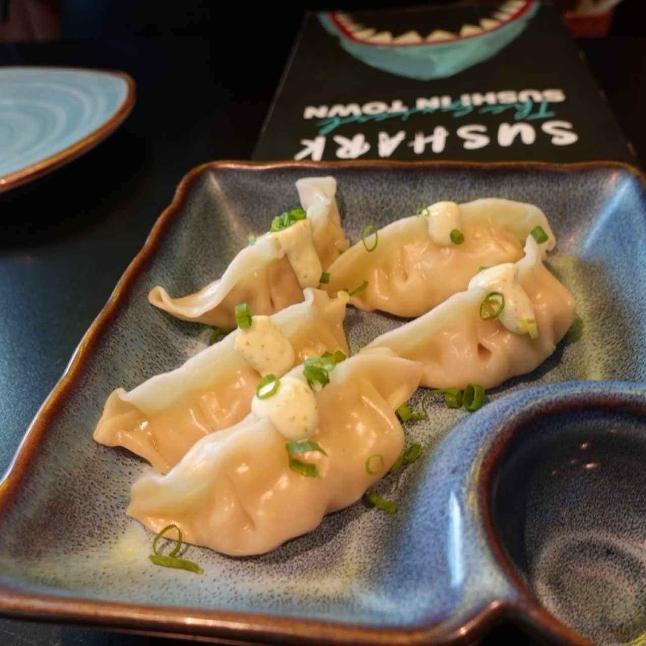 Gyozas de Pollo o Cerdo y Vegetales