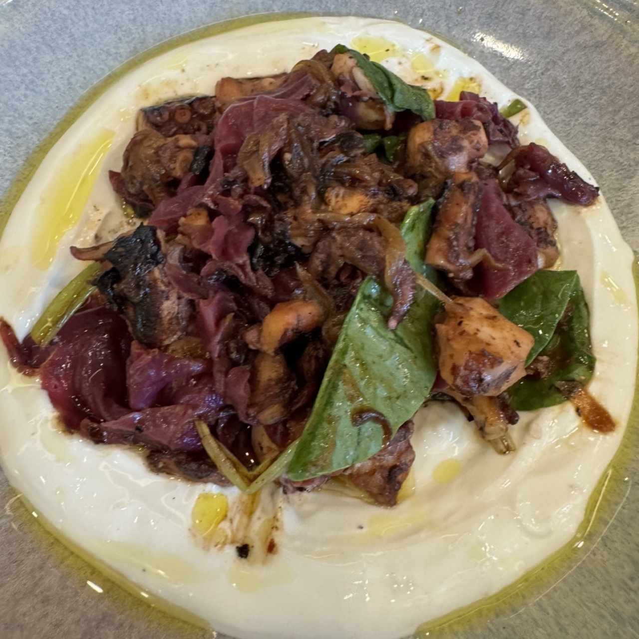 Pulpo