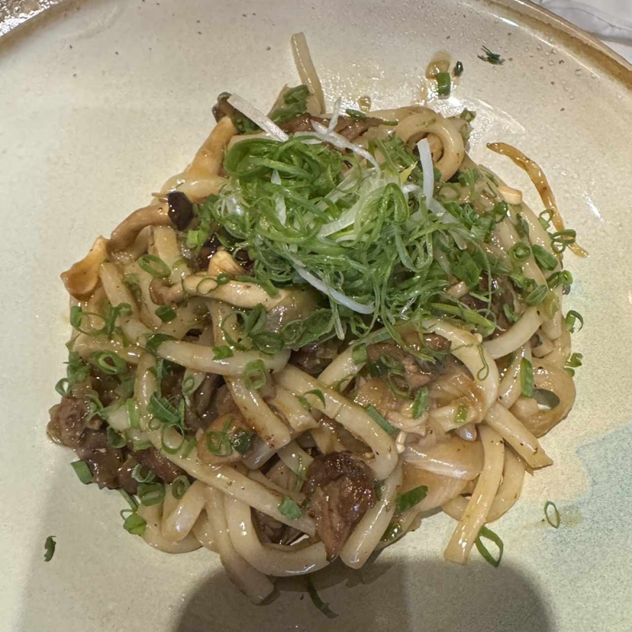 ESPECIALIDADES - Yakiudon