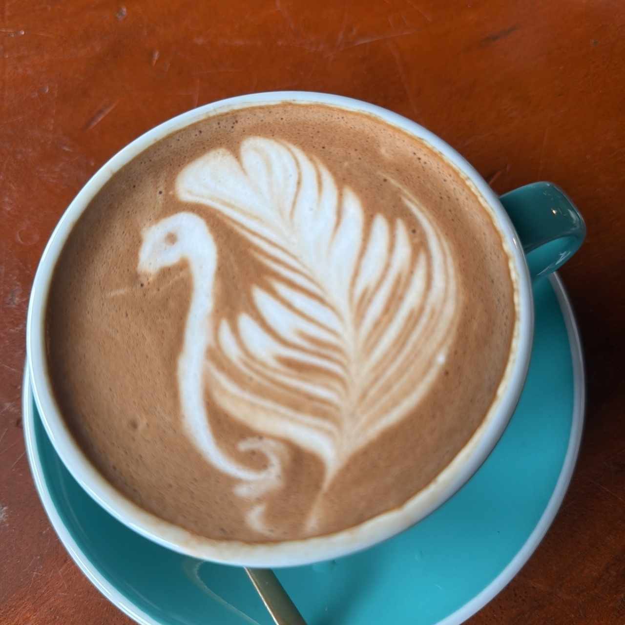 Mokaccino ❤️