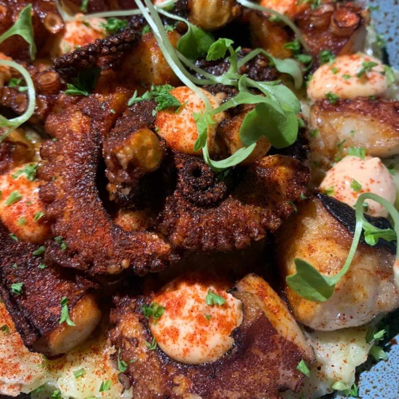 pulpo del pirata