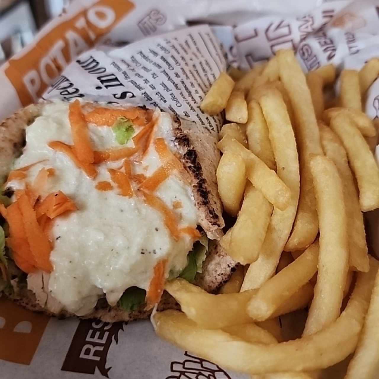 Pollito - PITA