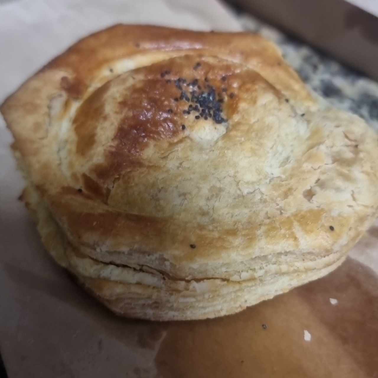 pastelito de carne