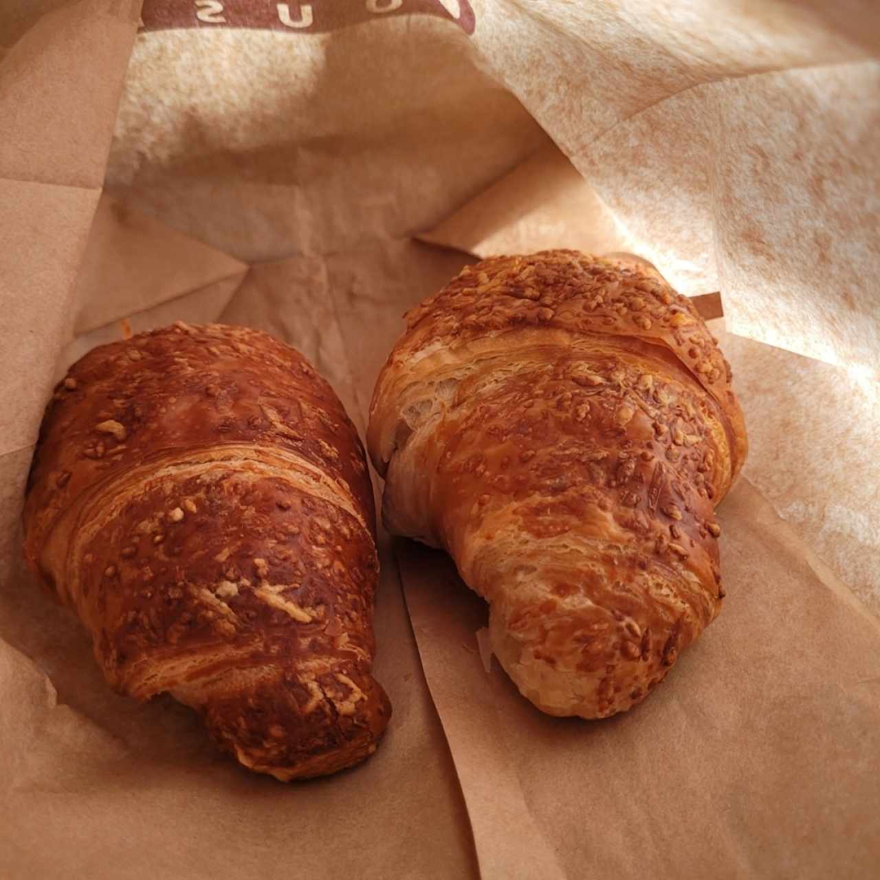 croissant jamón y queso mozarella 