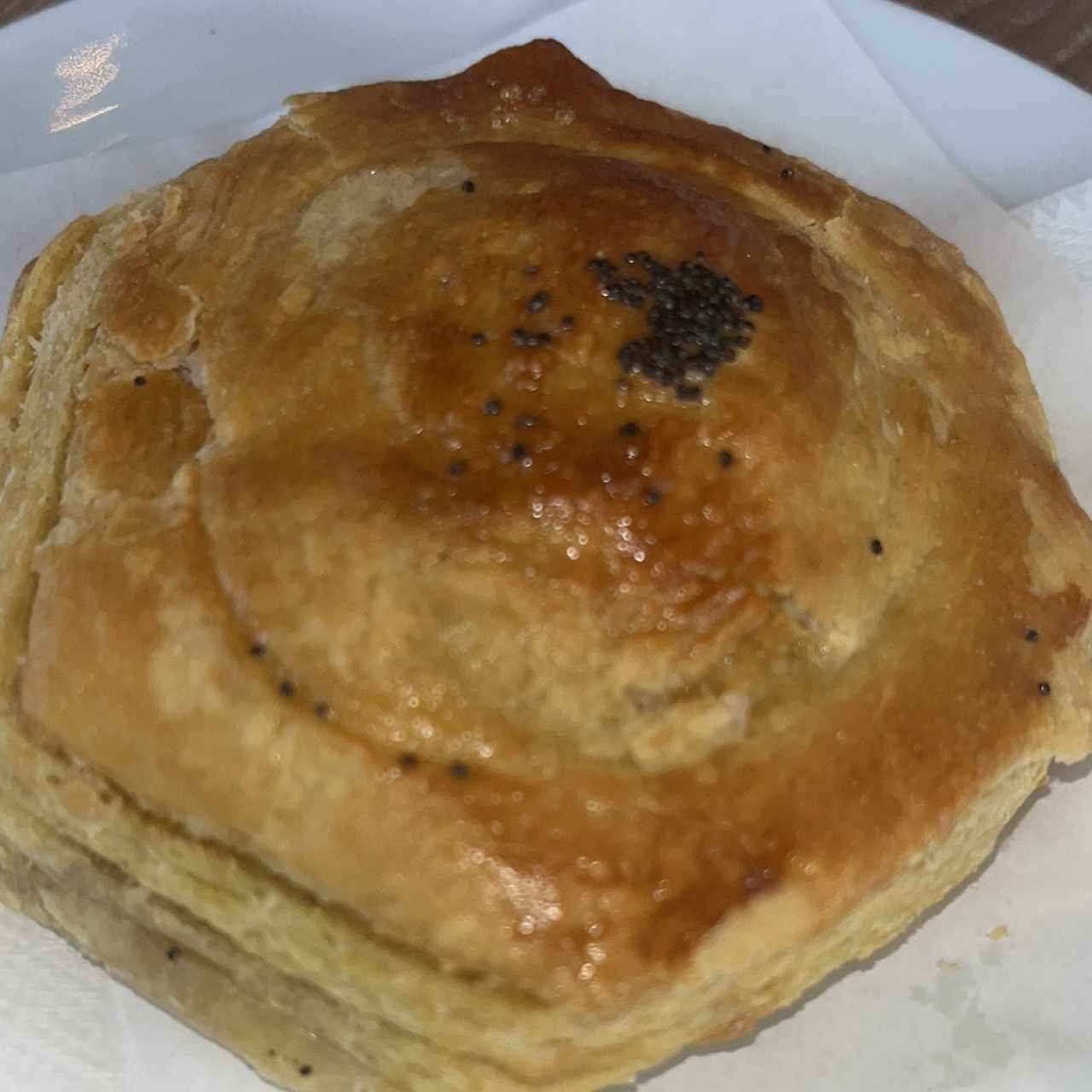 Pastelito de carne
