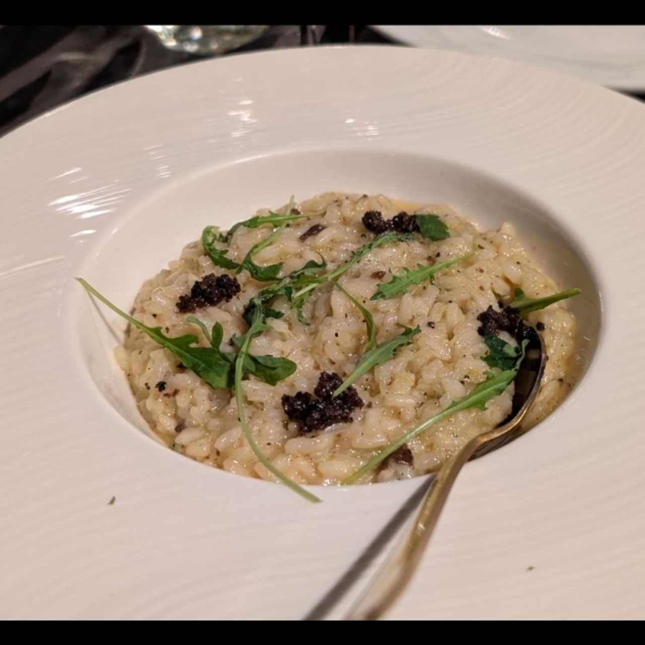 Risotto de Hongos Porcini y Trufa Fresca