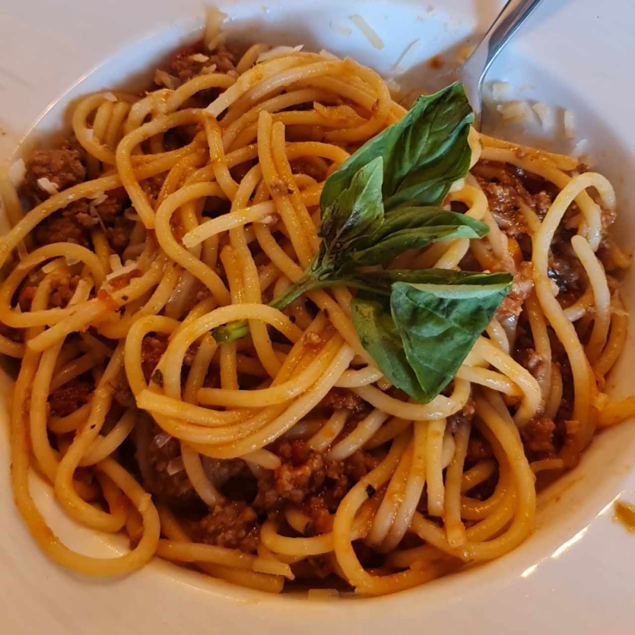 Pastas Clásicas - Pasta con Boloñesa