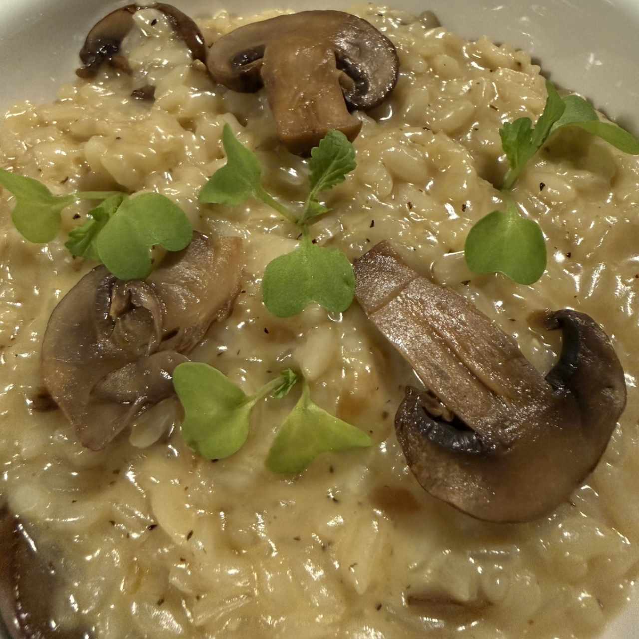 Rissoto de Champiñones