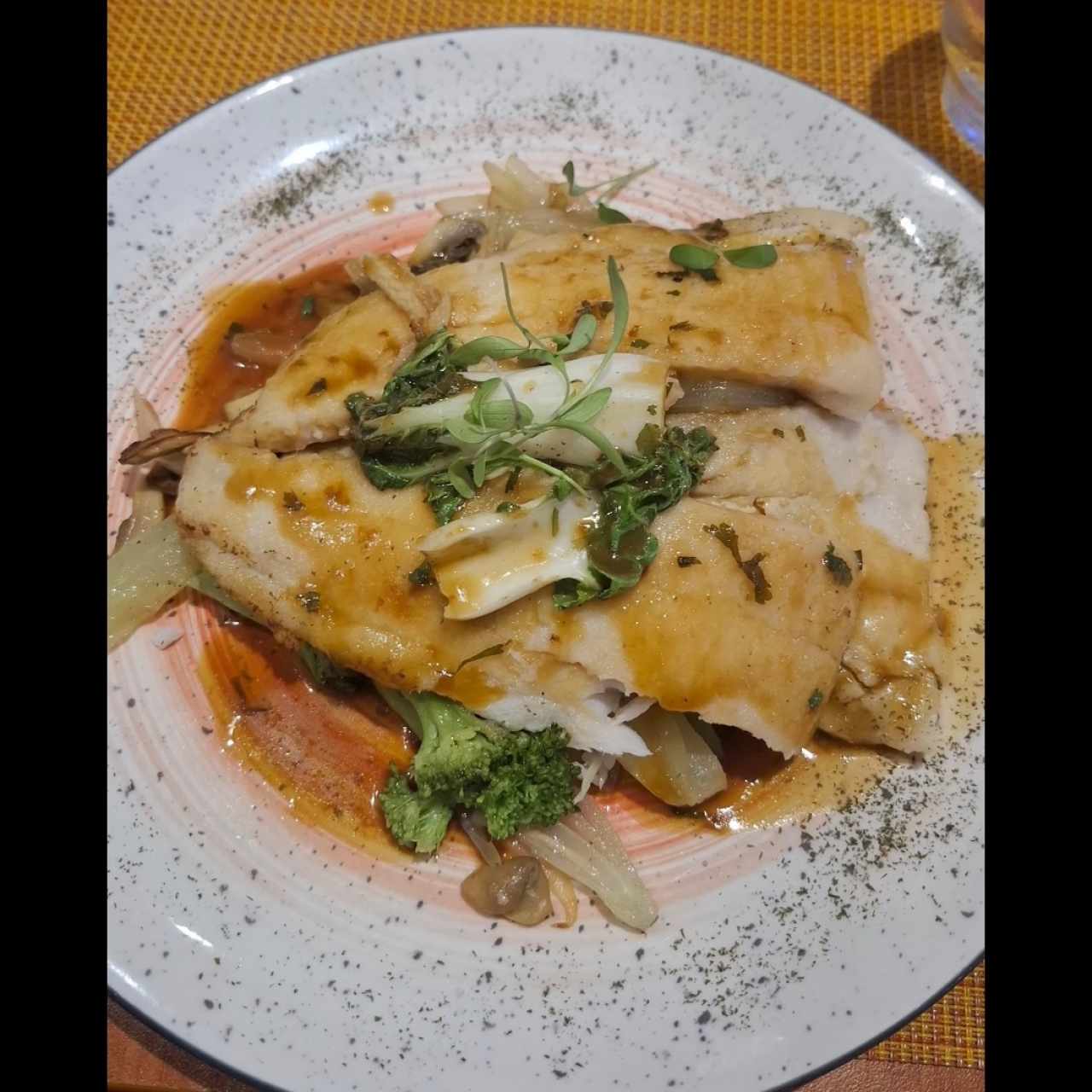 Corvina Nikkei