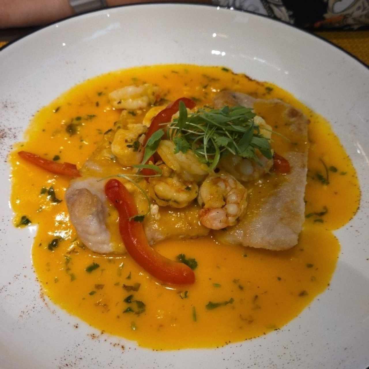 Corvina Nikkei