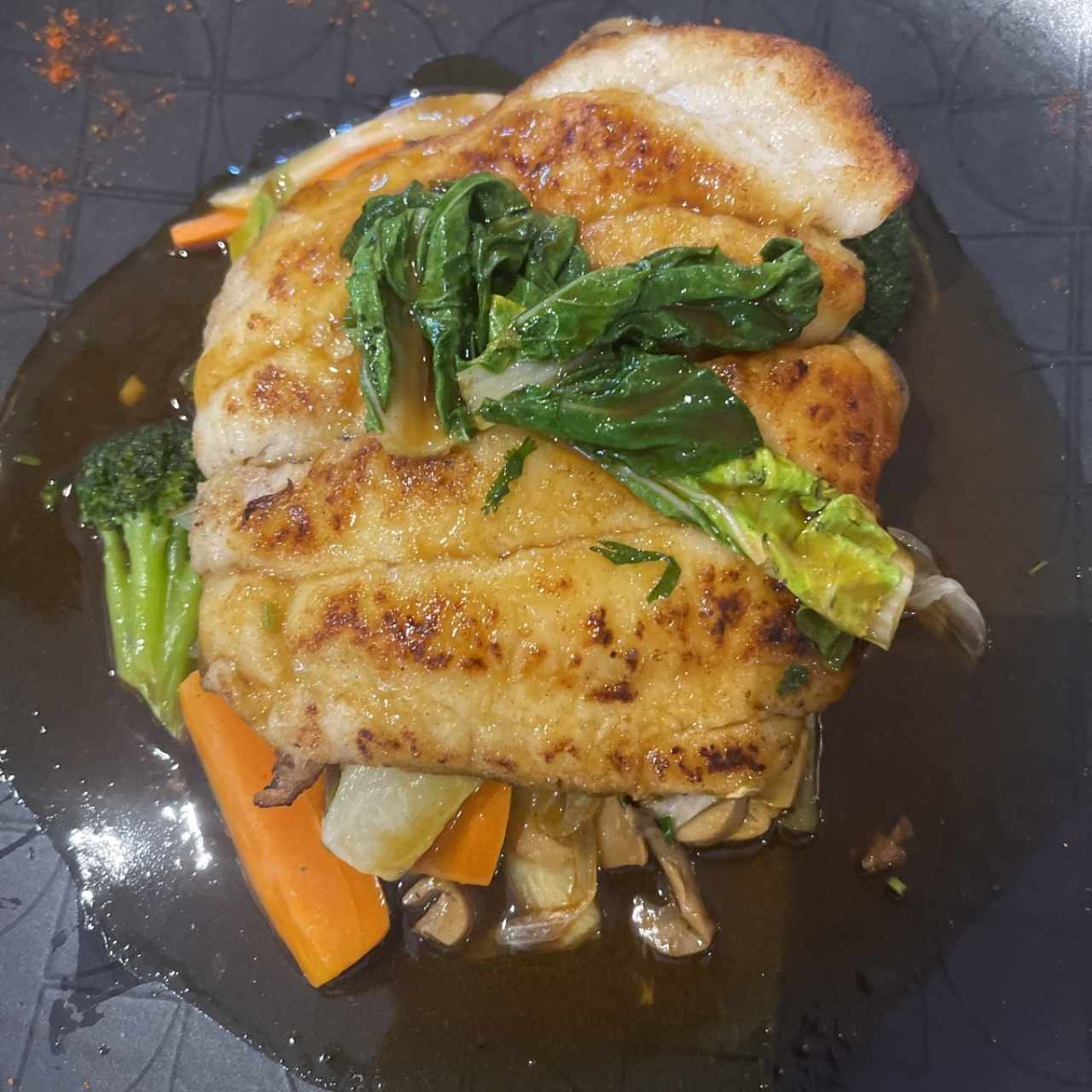 Corvina Nikkei