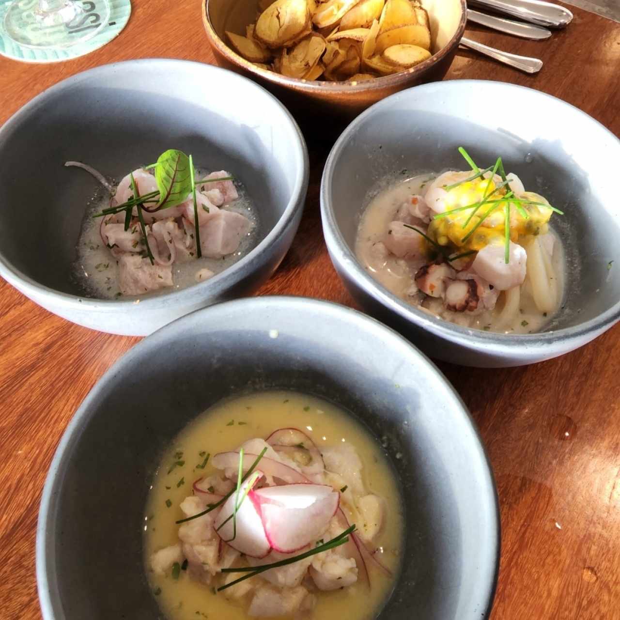 Ceviches + Tiraditos - Degustación