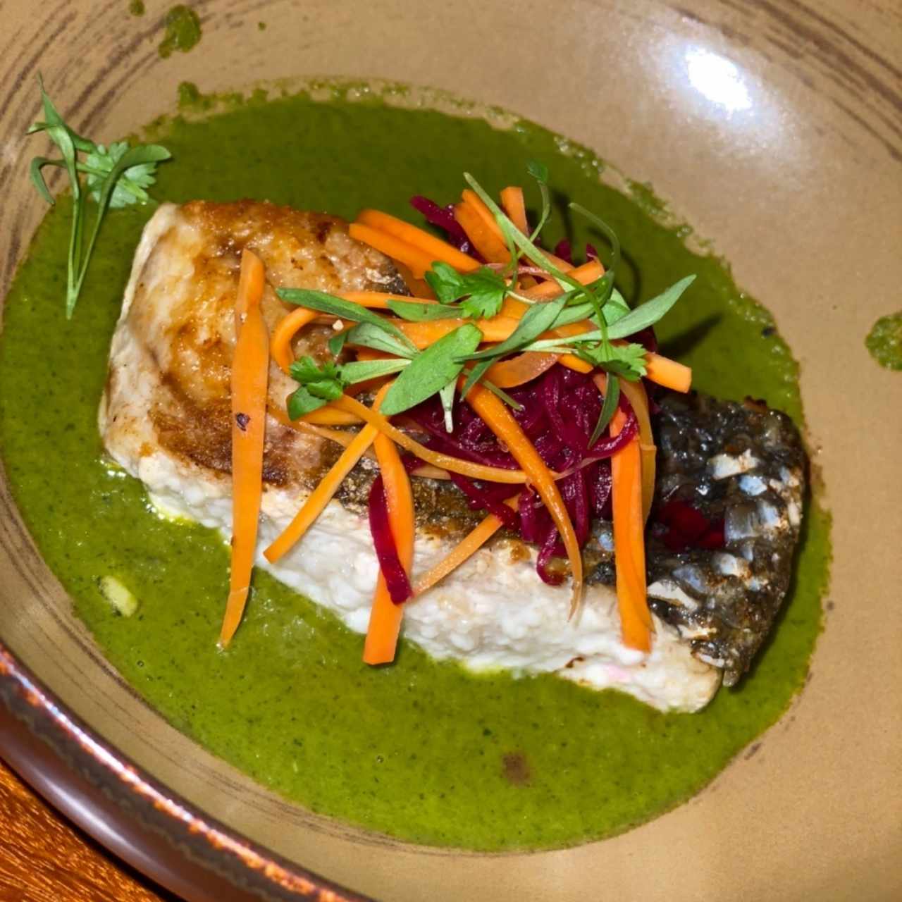 Pesca del Día