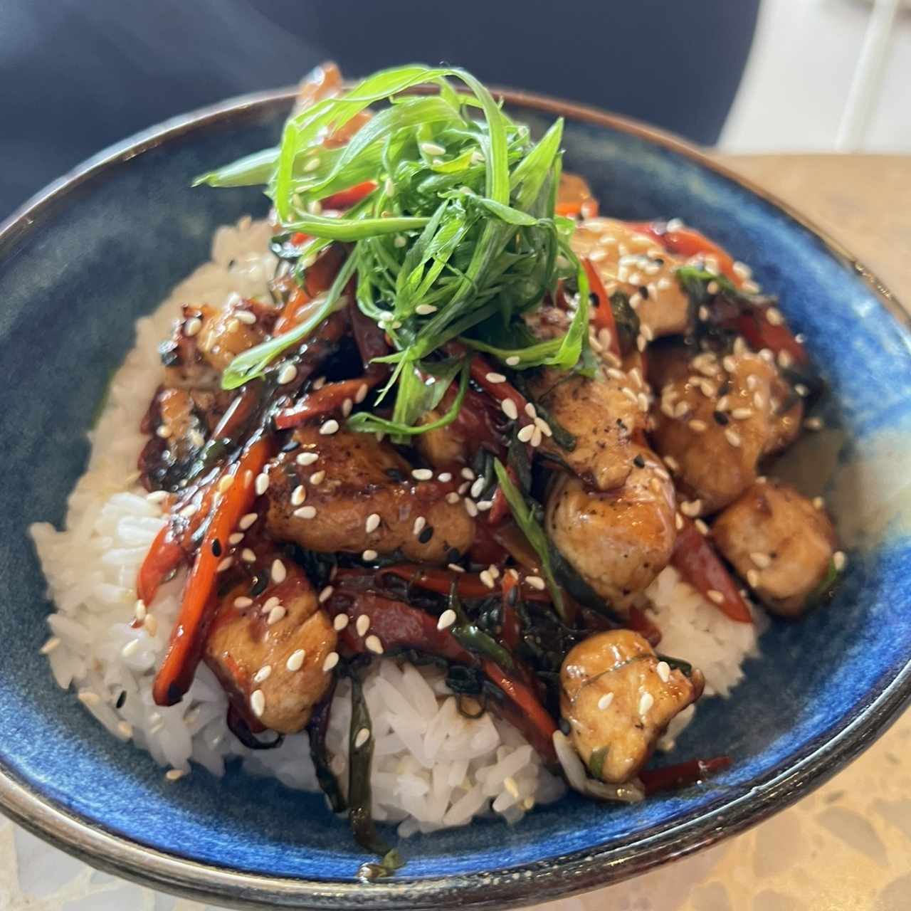 Platos Calientes - Yakitoridon
