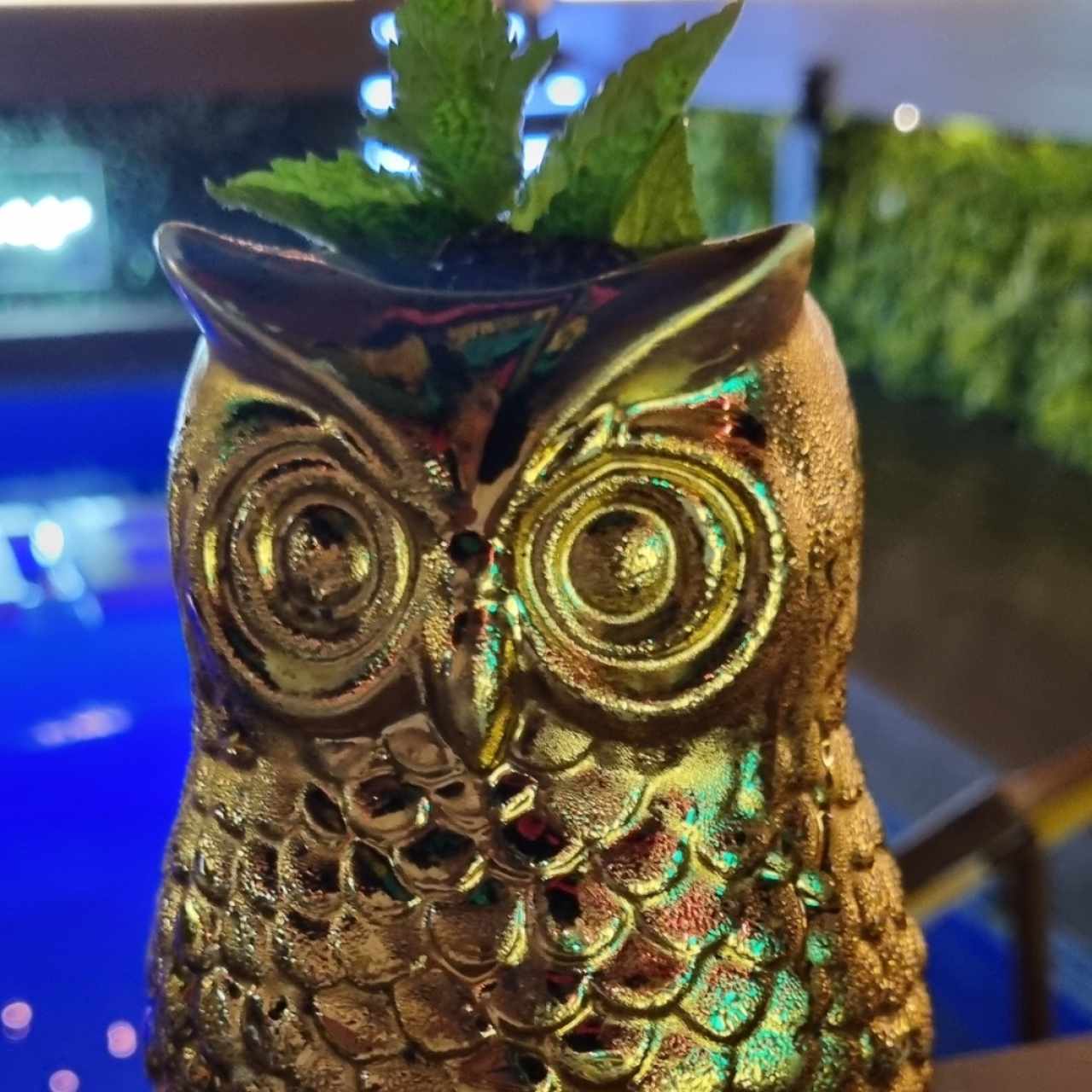el mochuelo