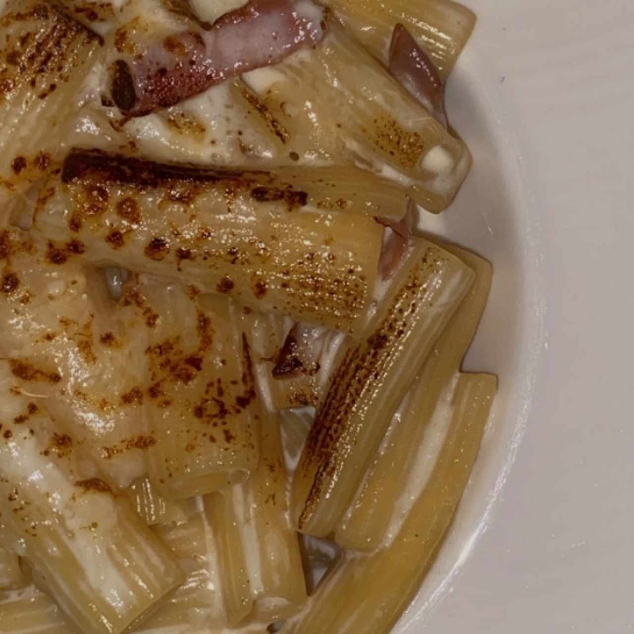 MAC AND CHEESE TRUFADO