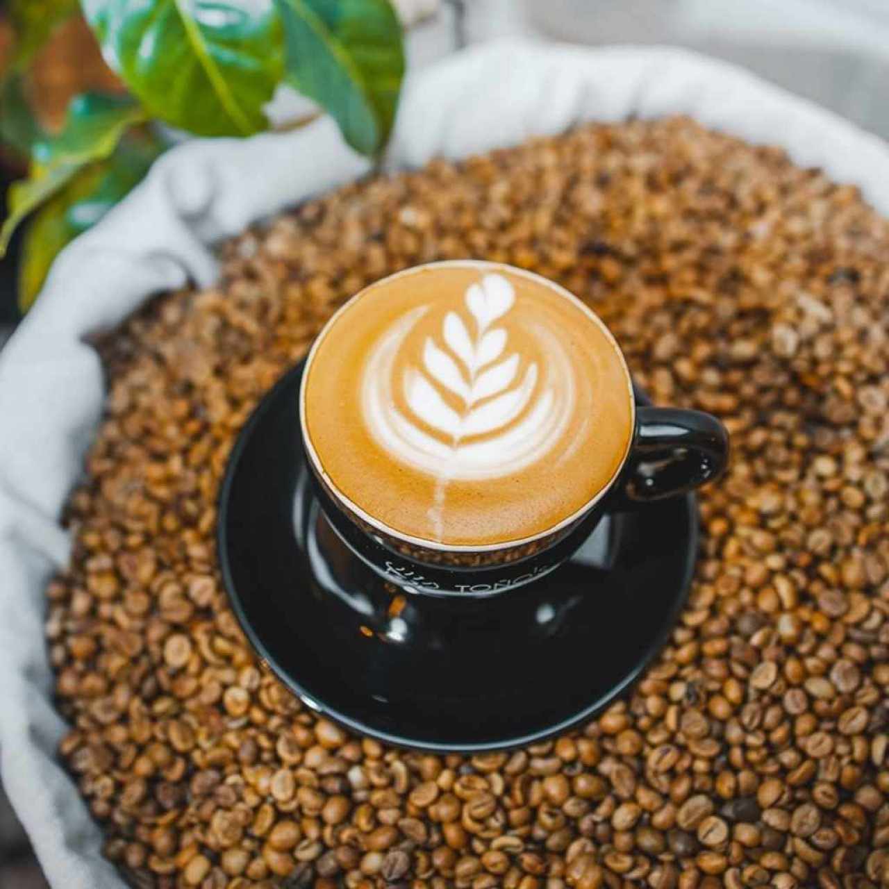 Toños Café Bakery (Costa del Este)