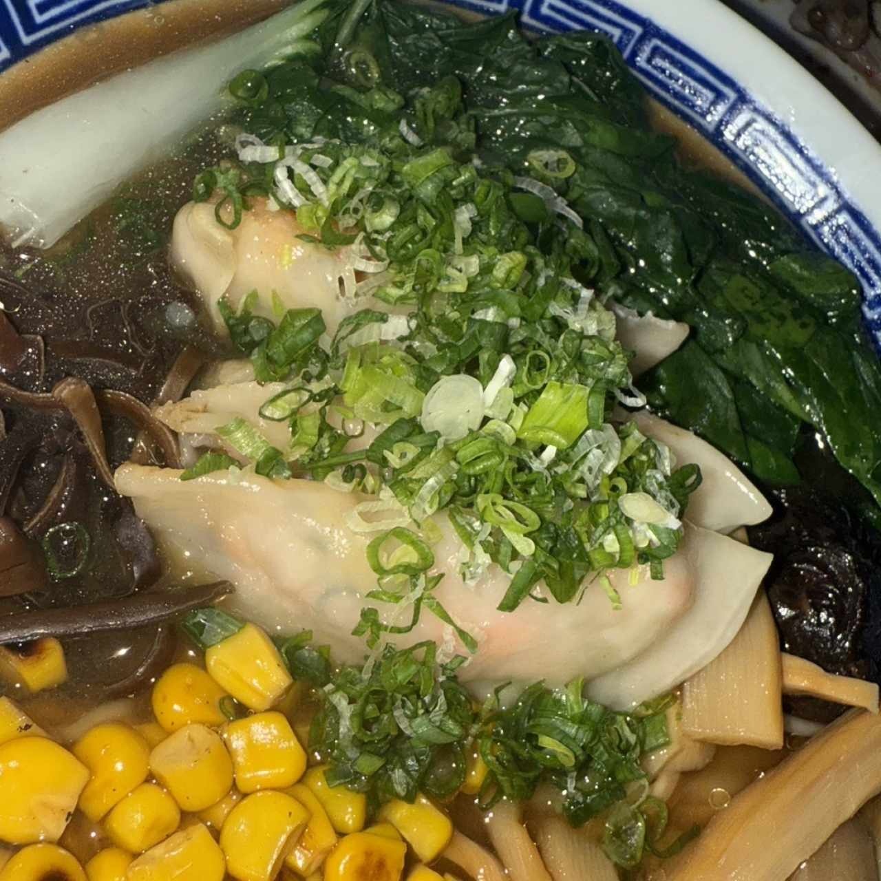 Gyosa shoyu Ramen