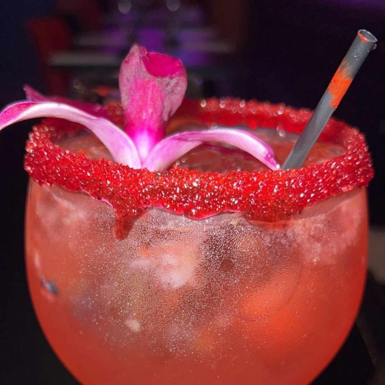Gin Tonic con Arándanos