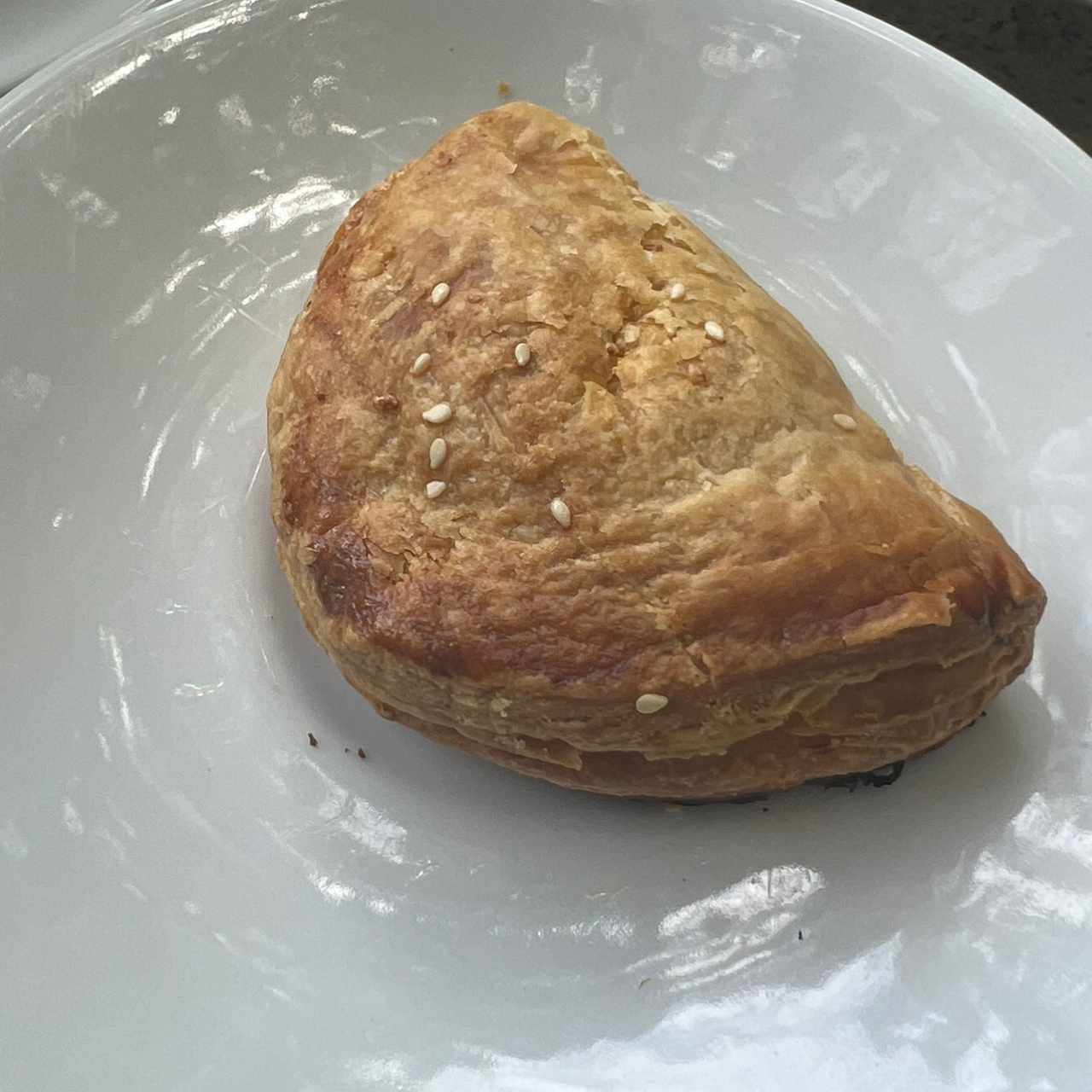 Empanada de pollo