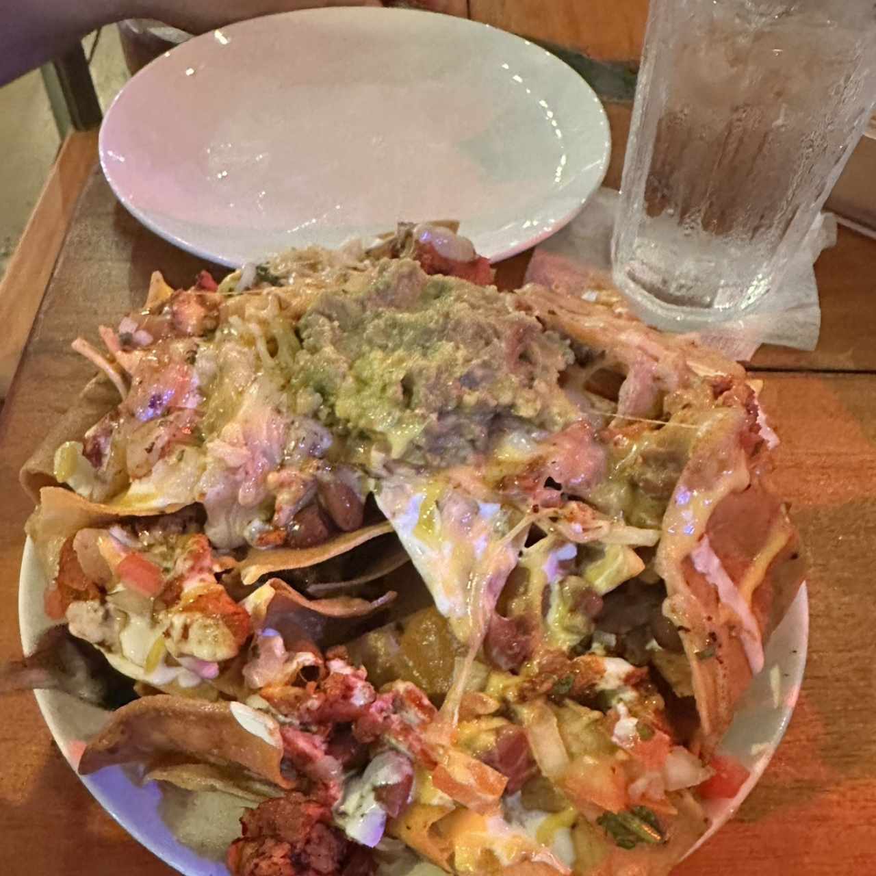 Birria - Nachos de birria