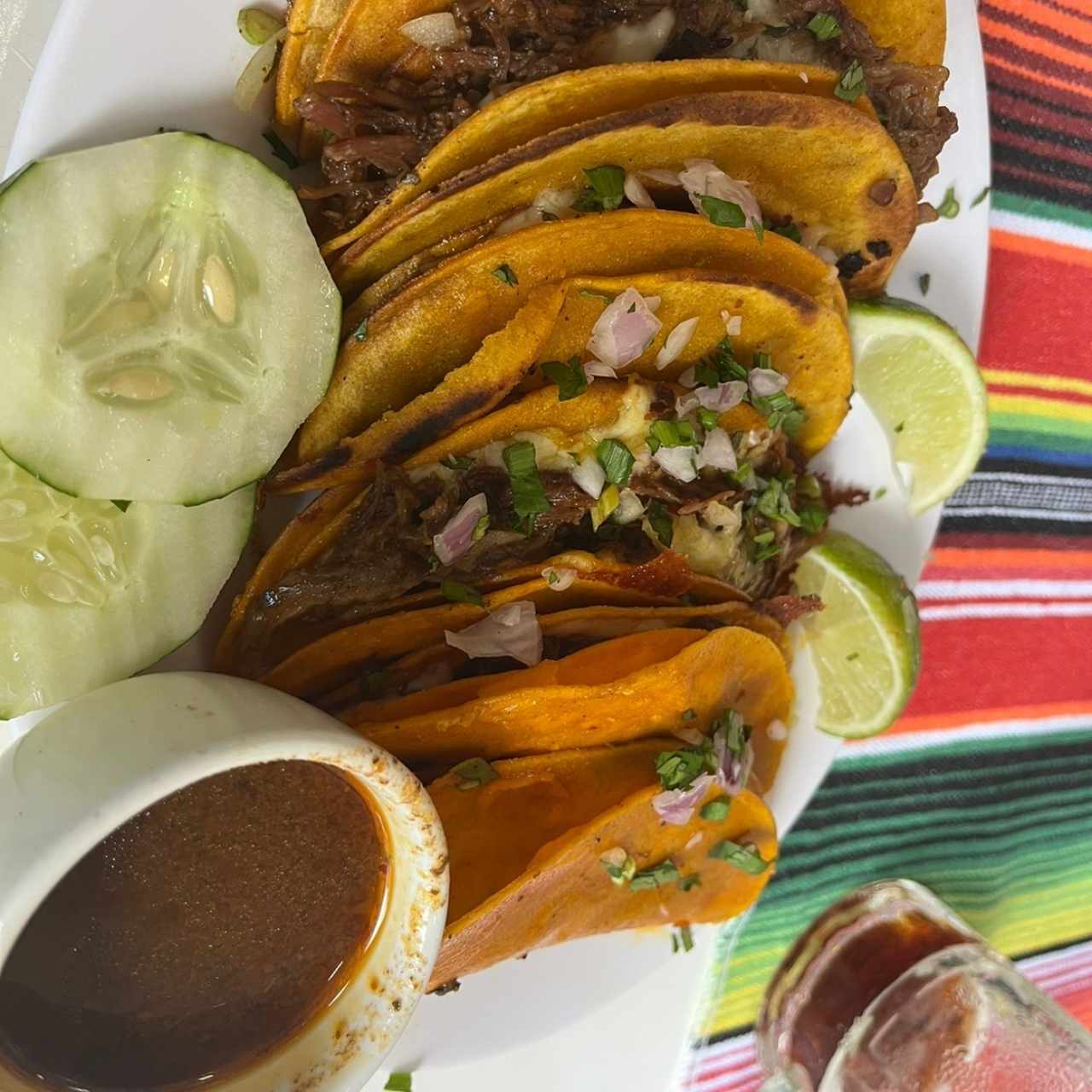Quesibirria