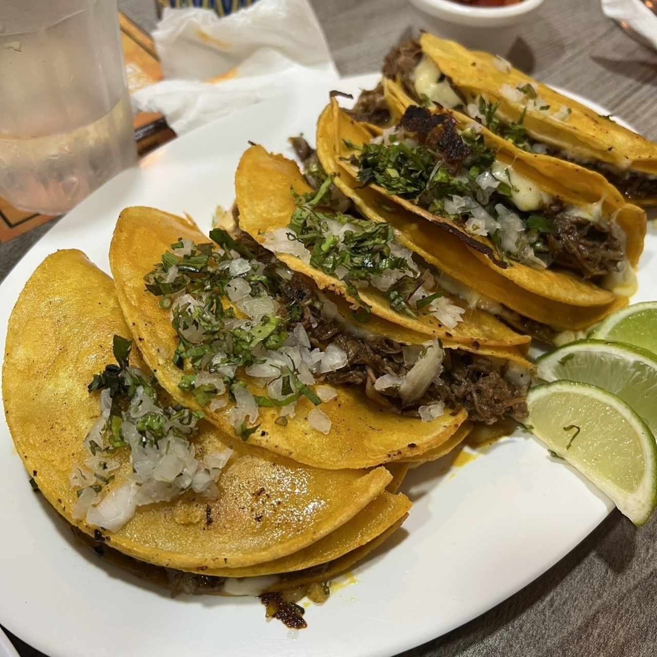 Birria - 6 Quesatacos
