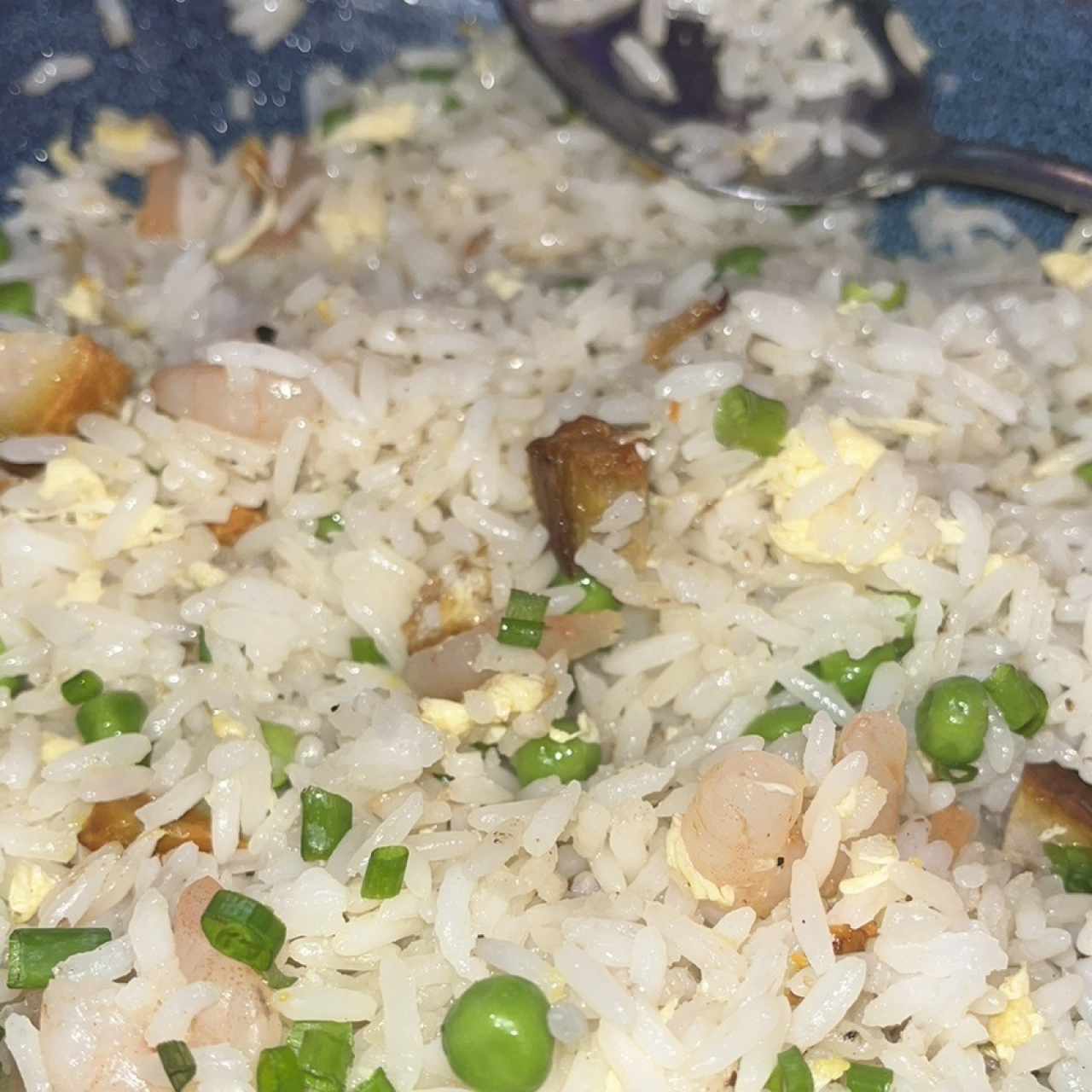 Arroz Frito Yion Chau
