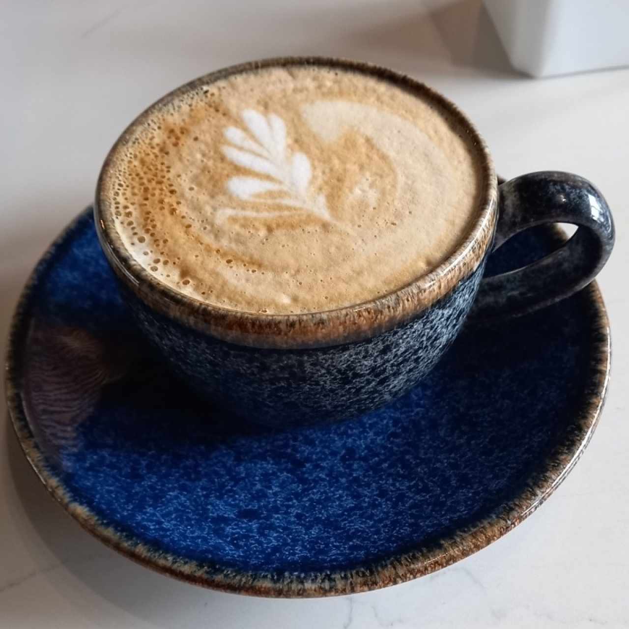 capuchino pequeño