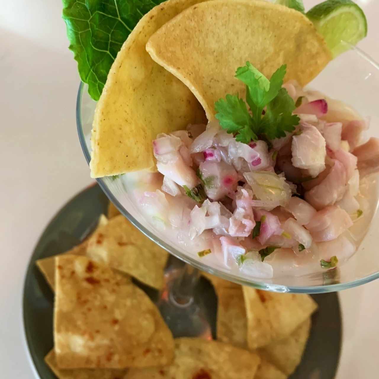 Ceviche