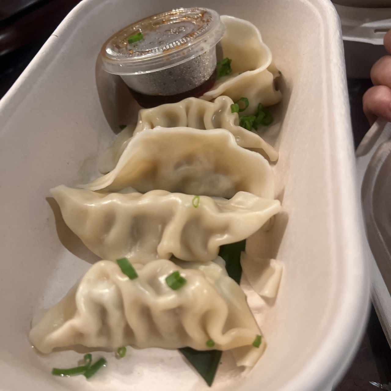 Gyozas de Cerdo (5 unidades)
