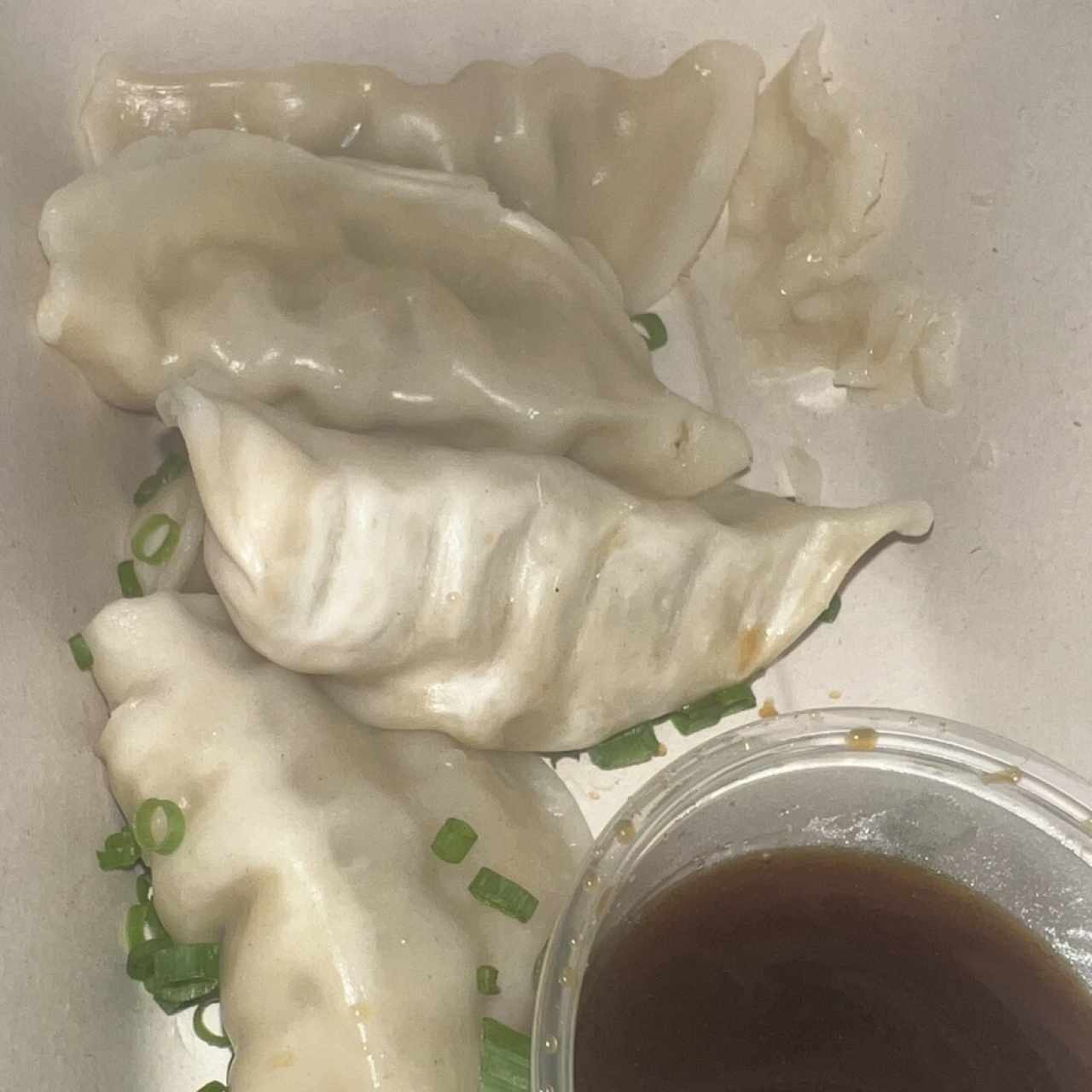 Gyozas de Cerdo (5 unidades)