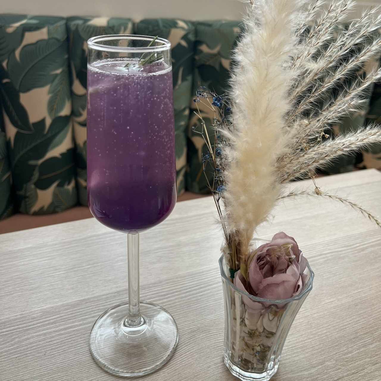 Mimosa Lavanda